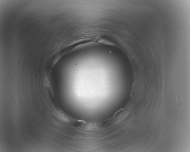 X0000054450384200508121917