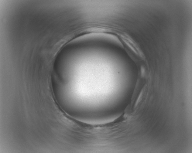 X0000054450385200508121916