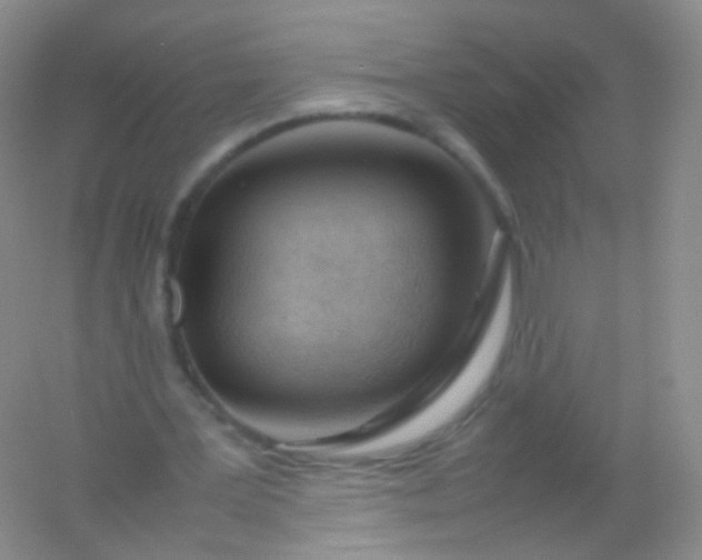 X0000054450387200508121916