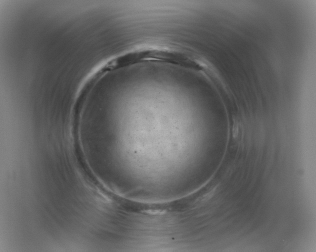 X0000054450388200508121916