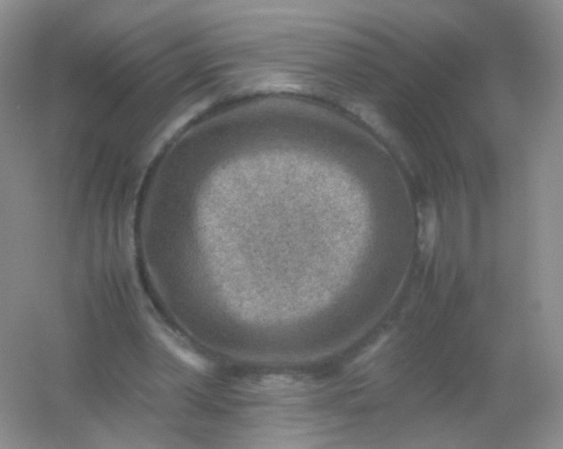 X0000054450390200508121916