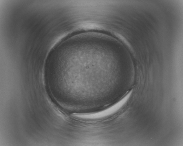 X0000054450391200508121916