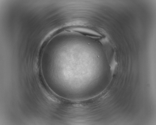 X0000054450392200508121916