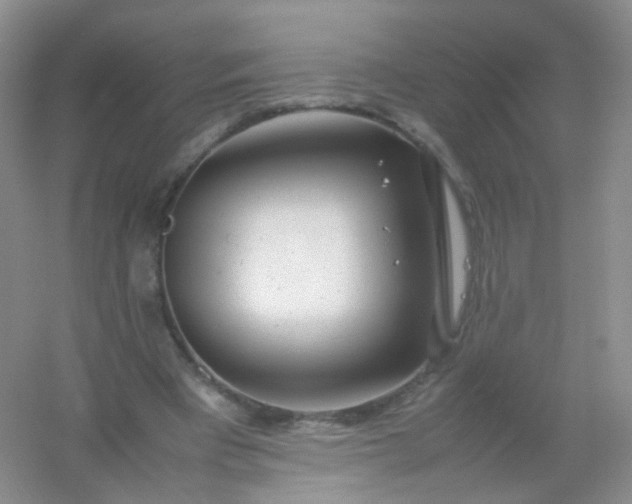 X0000054450393200508121916