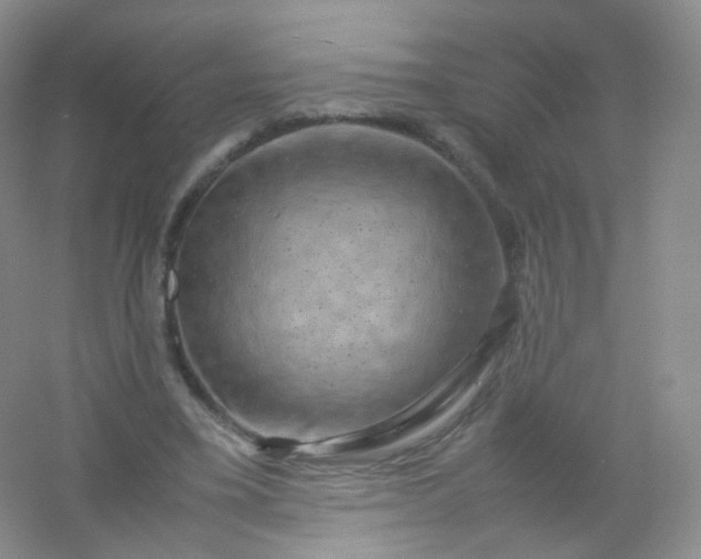 X0000054450395200508121916