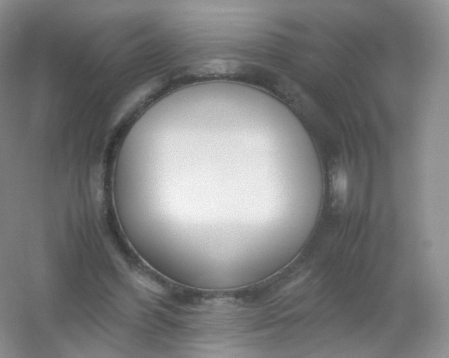 X0000054450396200508121916
