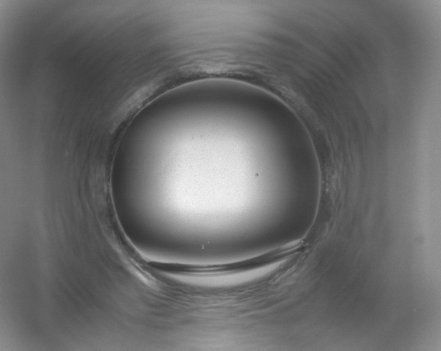 X0000054450397200508121916