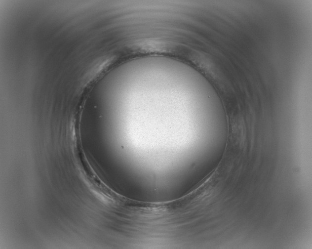 X0000054450398200508121916