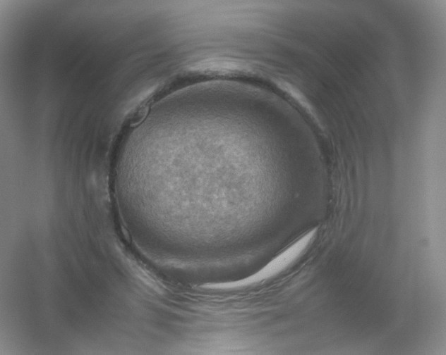 X0000054450399200508121916