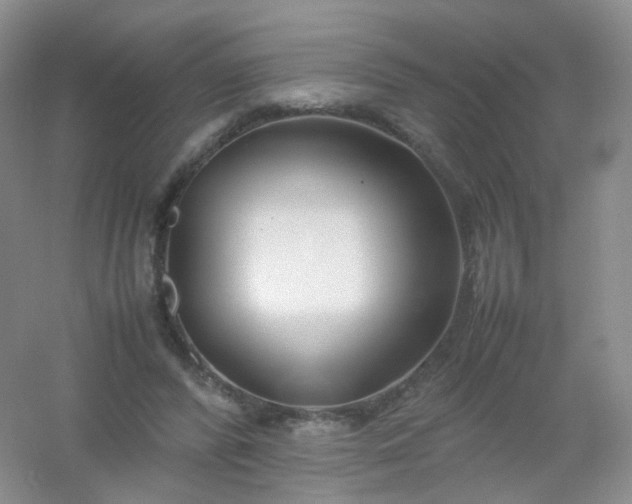 X0000054450400200508121916