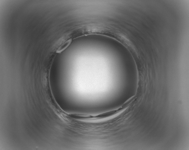 X0000054450401200508121916