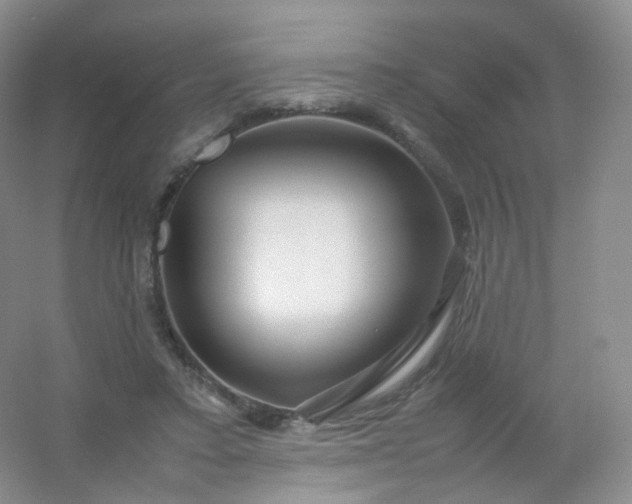 X0000054450403200508121916