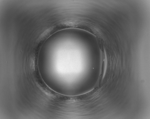 X0000054450404200508121916