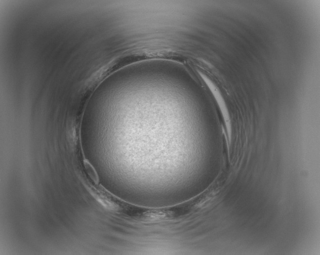 X0000054450405200508121916