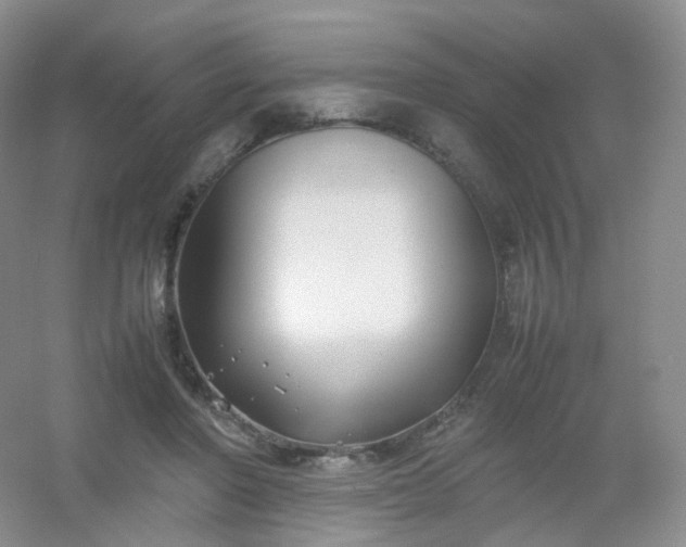 X0000054450406200508121916