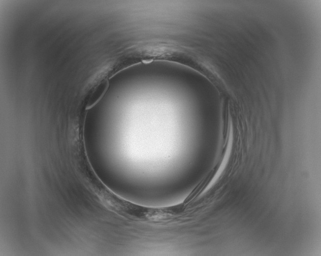 X0000054450407200508121916
