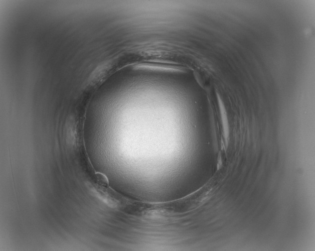 X0000054450408200508121916