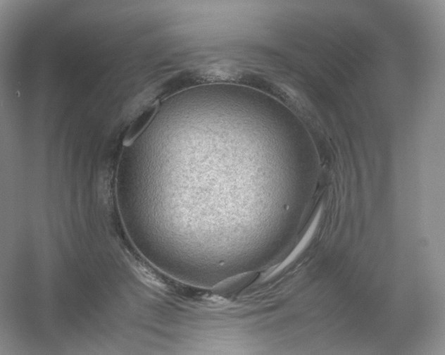 X0000054450409200508121916