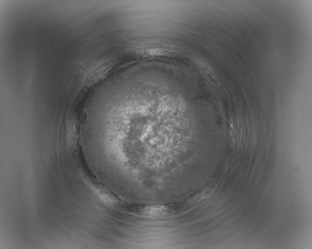 X0000054450410200508121916