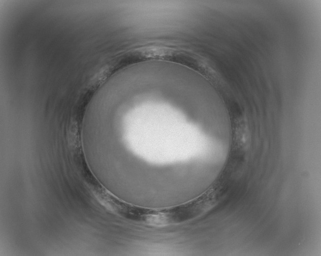 X0000054450411200508121916