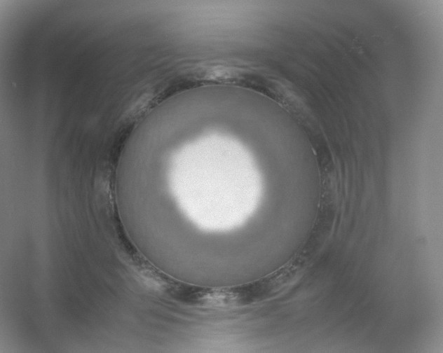 X0000054450415200508121916