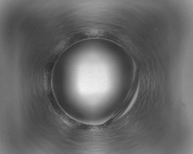 X0000054450416200508121916