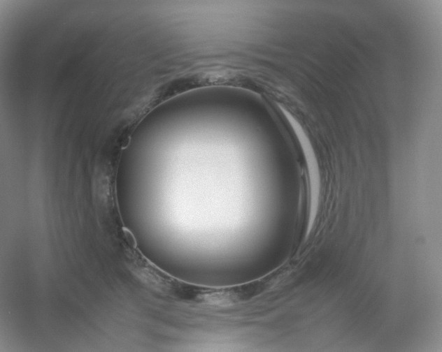 X0000054450417200508121916
