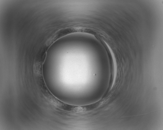 X0000054450421200508121916