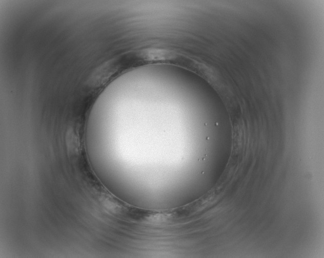X0000054450422200508121916