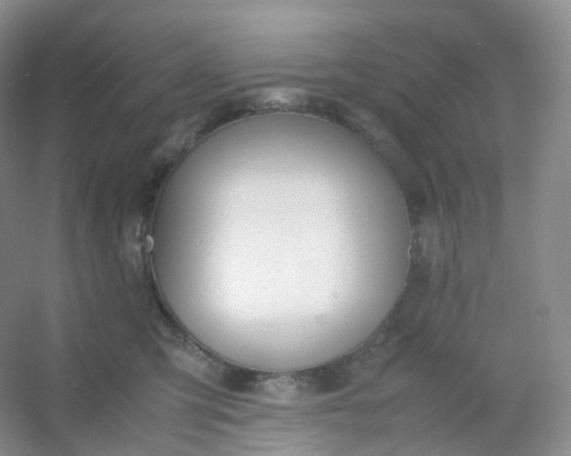 X0000054450423200508121916