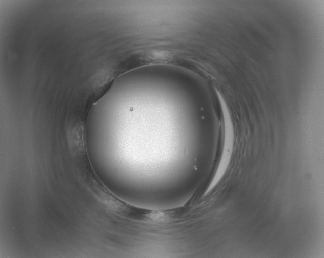 X0000054450425200508121916