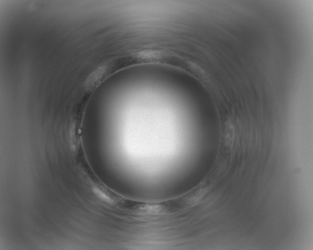 X0000054450428200508121916