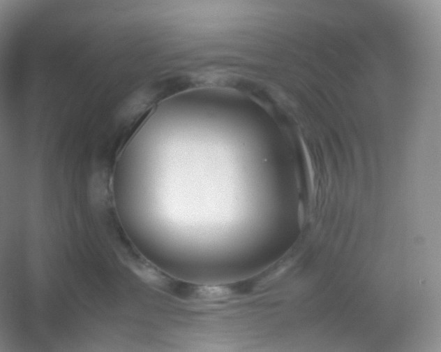 X0000054450429200508121916