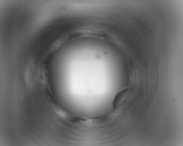 X0000054450430200508121916