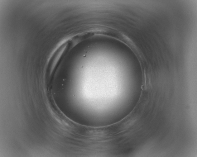 X0000054450435200508121915