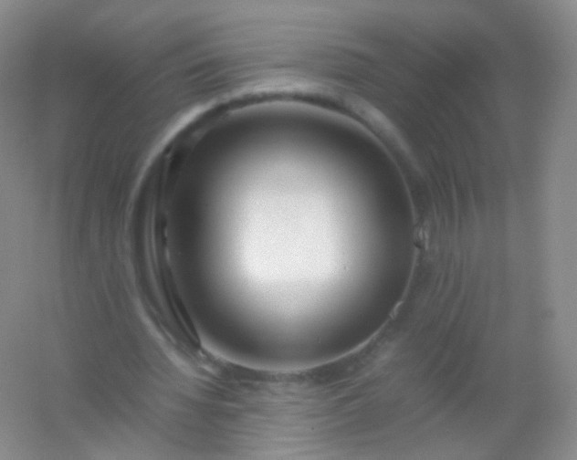 X0000054450436200508121915