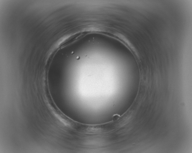 X0000054450437200508121915