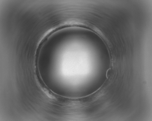 X0000054450438200508121915