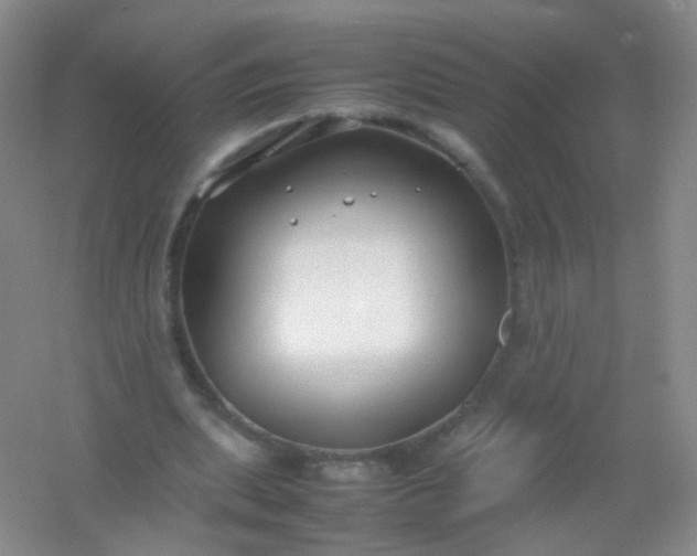 X0000054450439200508121915