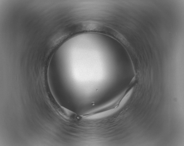 X0000054450442200508121915