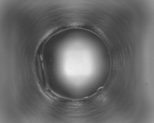 X0000054450443200508121915