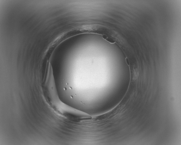 X0000054450444200508121915