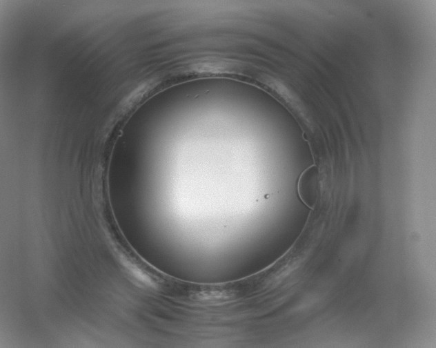 X0000054450445200508121915