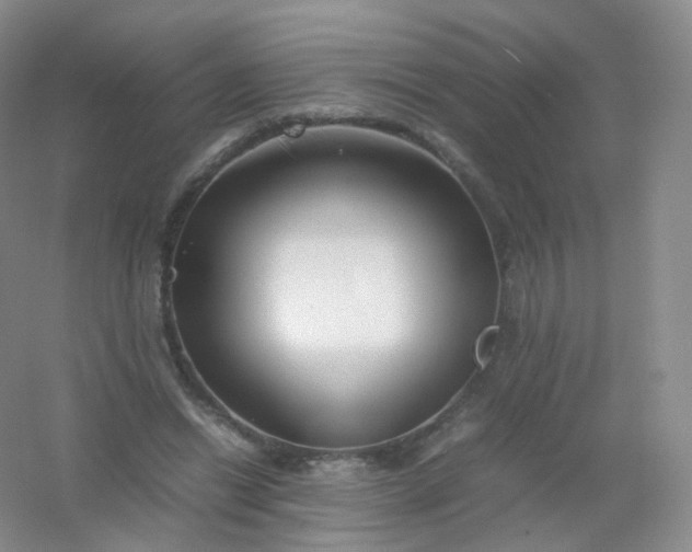 X0000054450446200508121915