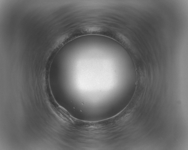 X0000054450447200508121915
