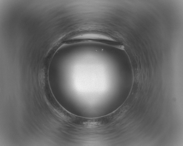 X0000054450448200508121915