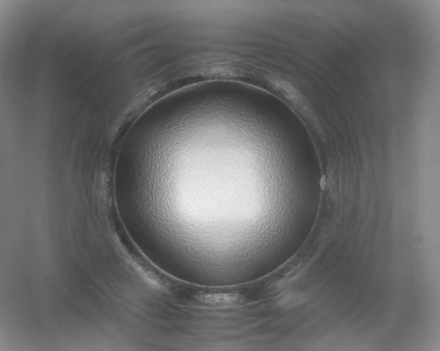 X0000054450449200508121915