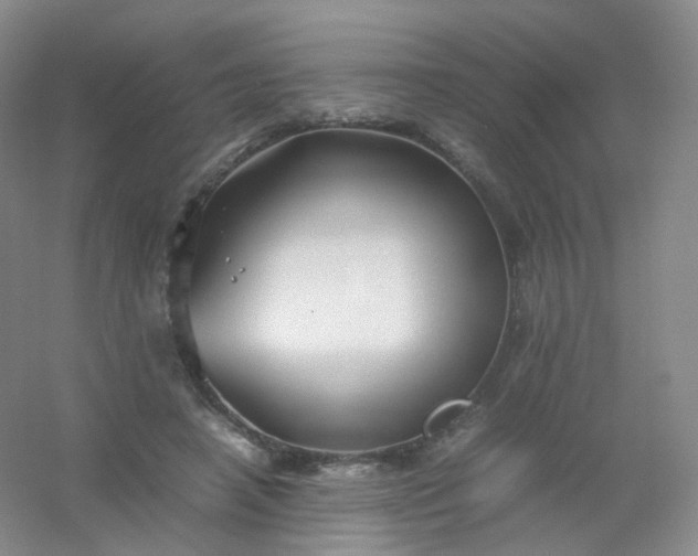 X0000054450450200508121915