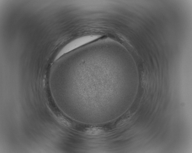 X0000054450451200508121915