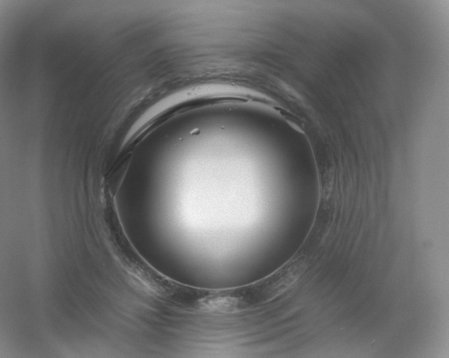 X0000054450452200508121915